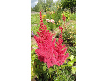 ����� ��� ������� .JPG