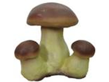 ��452 ���� ����� ������� ����� 23�� 447,20 ���