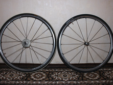 IMG 8154.JPG