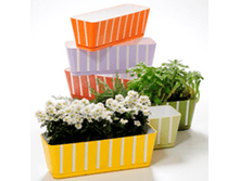 Heidi ��������� ������������� � ��������