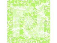 ��������� 557