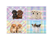 ������ ��� ��������� 08�. �4 �� ������� ����� ����� 13,31.jpg