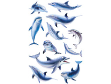 �������� �������� 16�9��, Magic. ������� ������� �� �������� 60,85.jpg