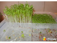 ������������ �������. ���. ����.2.jpg