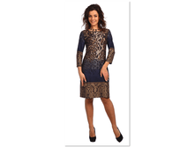 Big cat 865dc630d3fb481487f5949146d2dc69.png