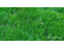 ����� �������� ��������� ������������ - 27,5 ���. 30�� - ��� ����� ����� ����� � ������. �������� 10 ��..jpeg