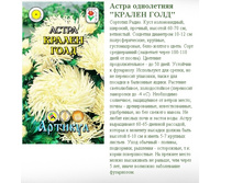 ����� ���������� ������ ���� 0,3 � (�����, ����-֣����, h=60-70,d=12-15��-8,99�..jpg