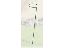 ����� ��� ������ ����� �������