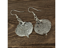 ������ "���� �����" �������, ���������