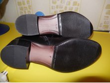 ����������� ����. ������ 37: 3100 ���