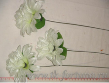 20-1978� ���������� 31 ��., D= 10*4 ��., �������, �����, ����� 7.50