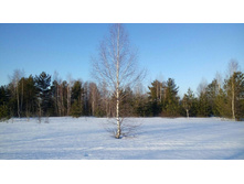 Photo 2016-02-28 19-32-47.jpg