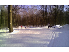 ������ ��������