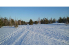 Photo 2016-02-28 19-32-54.jpg