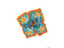 SHPA284 - �������.jpg