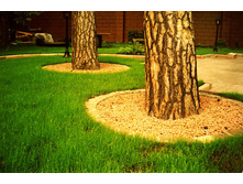 ����� ������� ������ - 27,5 ���. (30 ��.-��� ����� ����� ����� � ������) �������� 10 ��..jpg