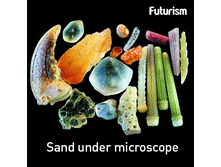 12729138 527223367456867 7353919659747424024 n.png