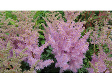 ��� ����2.JPG