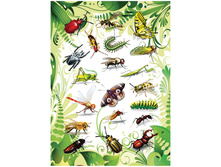 �������� �������� 16�9��, Magic. ��������� 60,85.jpg