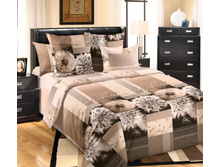 ��������� -1 ���������.jpg