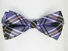 Bt-17-450 ���.JPG