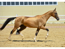 76 1433690752.1288.jpg