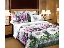 ������ -1 ���������.jpg