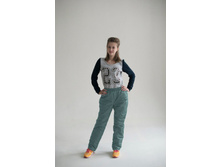 ������������ ����� (���� ����) ������� 017 ��� ���� 550 ���.