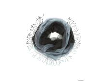 TISF362 - ޣ����.jpg