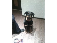 IMG 20160210 211617.jpg