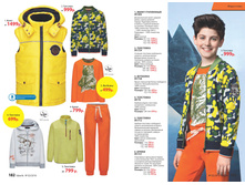 Cat-02-2016-small 92.jpg