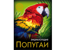 1448449076 ebadba118d7c6ab6e1a6892de6b86fdc.png