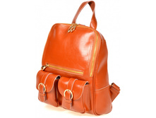 ������ Orlan Brown-2600 ���