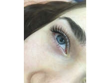 ������������ ����������� ��������