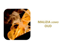 MALIZIA Event 2014 �������� 30.jpg