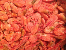 �������� 90+��� �������