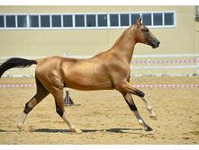 76 1433690744.631.jpg