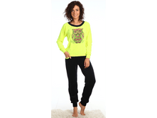 Big cat 98475aff65744cfd93d5fb2f9392f4b2.png
