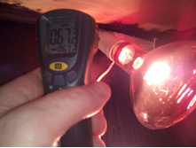 IMG 20160228 091138.jpg