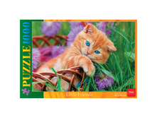 ���� 1000 ��. ������� � �������� 202,69.jpg