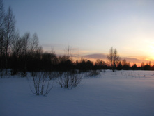 IMG 7451.jpg