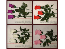 20-2039 ���� �����  23,8�