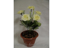 18-118� ������ � ������ "����" 30 ��., 5 �����, �����, �������, ������, ����� 165.00 ����� ���� 175�