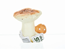 ������� ������������ "���̣���" 6*5*6,5��. (min9) (��������) (��� ���������� ��������) ENS, ��������: ��������, ���: 1540834, �������: 1540834 ��� 9�� 77�