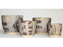 204SZ �������