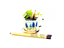 -��������� ����-700x700.jpg