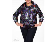 ������ 2618135-02.jpg