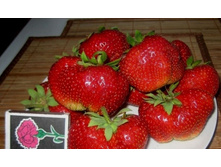 ������ (���������� ������), 60���.jpg