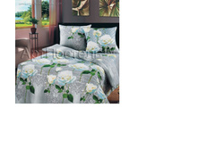 ����� ����.jpg