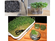 ������������ �������. ���. ����.4.jpg